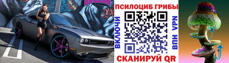 blacksprut tor  Лакинск  Псилоцибиновые грибы GOLDEN TEACHER  закладки 